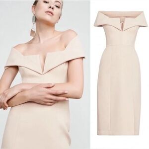 BCBGMaxAzria Marquise Bare Pink Dress 02